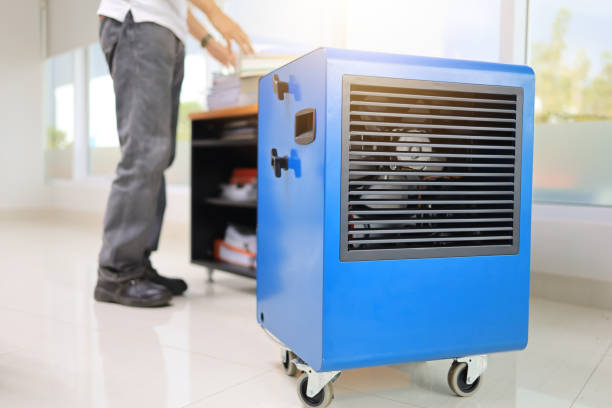 Best Mold-Related Health Consultation  in North Tustin, CA
