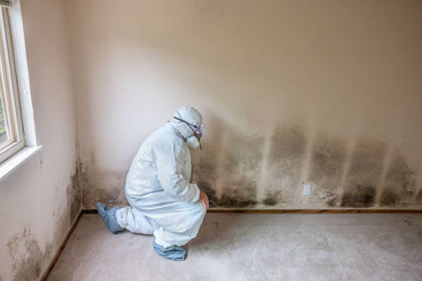 Best Air Quality Testing for Mold Spores  in North Tustin, CA